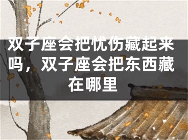 双子座会把忧伤藏起来吗，双子座会把东西藏在哪里
