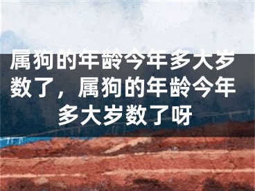 属狗的年龄今年多大岁数了，属狗的年龄今年多大岁数了呀