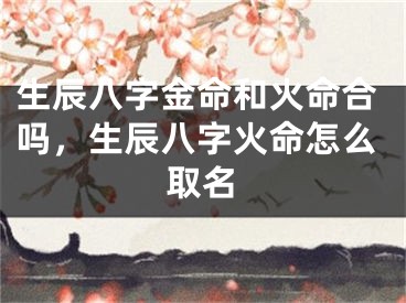 生辰八字金命和火命合吗,生辰八字火命怎么取名