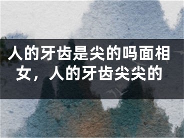 人的牙齿是尖的吗面相女，人的牙齿尖尖的