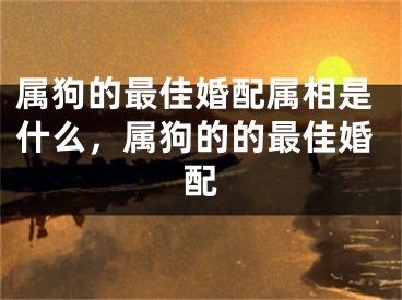 属狗的最佳婚配属相是什么，属狗的的最佳婚配
