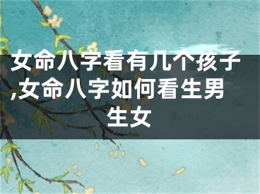 女命八字看有几个孩子,女命八字如何看生男生女