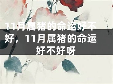 11月属猪的命运好不好，11月属猪的命运好不好呀