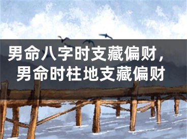 男命八字时支藏偏财，男命时柱地支藏偏财