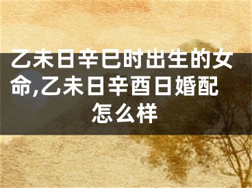 乙未日辛巳时出生的女命,乙未日辛酉日婚配怎么样