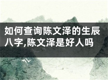 如何查询陈文泽的生辰八字,陈文泽是好人吗