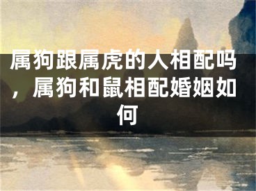 属狗跟属虎的人相配吗，属狗和鼠相配婚姻如何