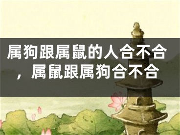 属狗跟属鼠的人合不合，属鼠跟属狗合不合