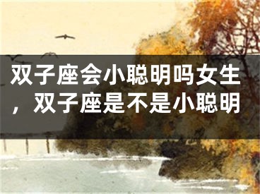 双子座会小聪明吗女生，双子座是不是小聪明
