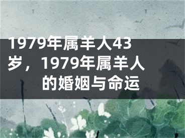 1979年属羊人43岁，1979年属羊人的婚姻与命运
