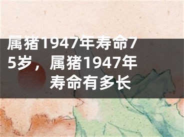 属猪1947年寿命75岁，属猪1947年寿命有多长