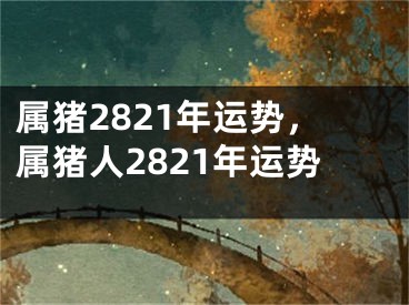 属猪2821年运势，属猪人2821年运势