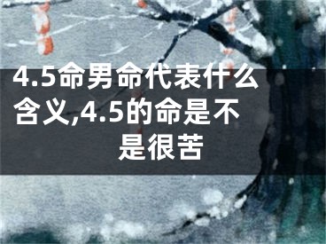 4.5命男命代表什么含义,4.5的命是不是很苦