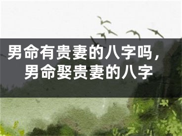 男命有贵妻的八字吗，男命娶贵妻的八字