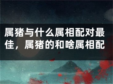 属猪与什么属相配对最佳，属猪的和啥属相配