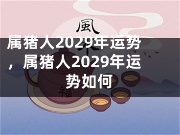 属猪人2029年运势，属猪人2029年运势如何