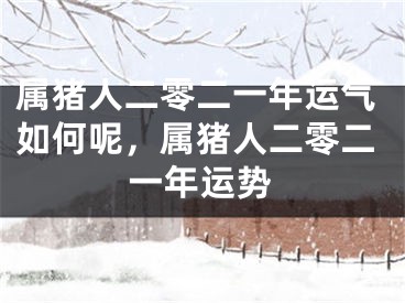 属猪人二零二一年运气如何呢，属猪人二零二一年运势
