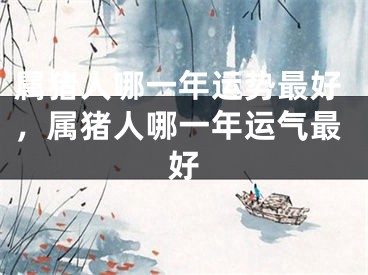 属猪人哪一年运势最好，属猪人哪一年运气最好