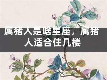 属猪人是啥星座，属猪人适合住几楼