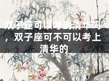 双子座可以考到清华吗，双子座可不可以考上清华的