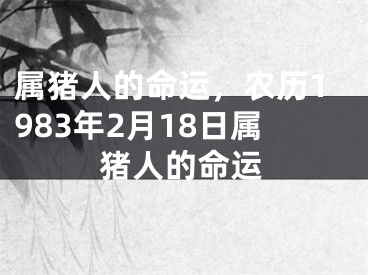 属猪人的命运,农历1983年2月18日属猪人的命运