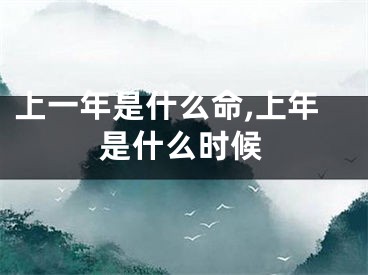 上一年是什么命,上年是什么时候