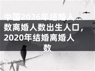 中国2026年结婚人数离婚人数出生人口,2020年结婚离婚人数