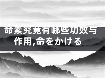 命素究竟有哪些功效与作用,命をかける