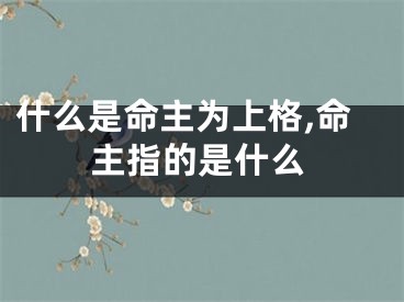 什么是命主为上格,命主指的是什么