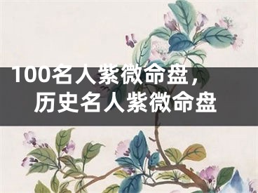 100名人紫微命盘,历史名人紫微命盘