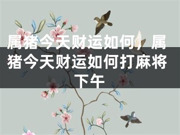 属猪今天财运如何，属猪今天财运如何打麻将下午