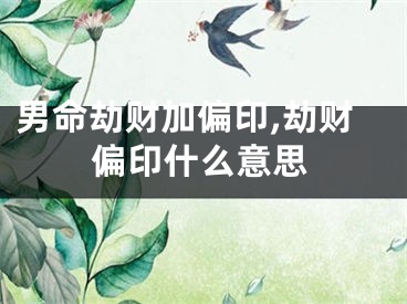 男命劫财加偏印,劫财偏印什么意思