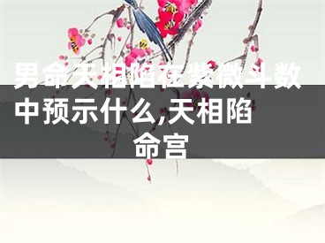 男命天相陷在紫微斗数中预示什么,天相陷 命宫