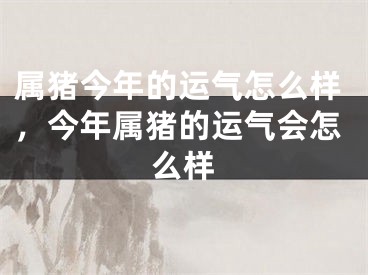 属猪今年的运气怎么样，今年属猪的运气会怎么样