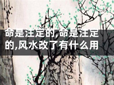 命是注定的,命是注定的,风水改了有什么用
