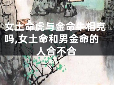 女土命虎与金命牛相克吗,女土命和男金命的人合不合