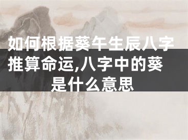 如何根据葵午生辰八字推算命运,八字中的葵是什么意思