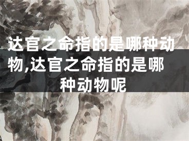 达官之命指的是哪种动物,达官之命指的是哪种动物呢