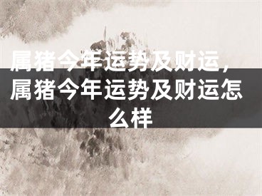 属猪今年运势及财运，属猪今年运势及财运怎么样