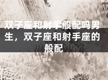 双子座和射手般配吗男生，双子座和射手座的般配