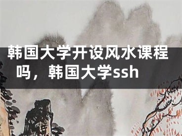 韩国大学开设风水课程吗，韩国大学ssh