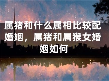 属猪和什么属相比较配婚姻，属猪和属猴女婚姻如何