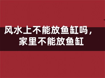 风水上不能放鱼缸吗，家里不能放鱼缸