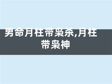 男命月柱带枭杀,月柱带枭神