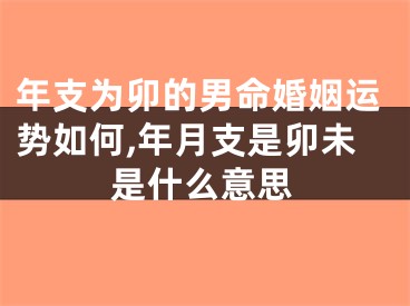 年支为卯的男命婚姻运势如何,年月支是卯未是什么意思
