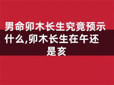 男命卯木长生究竟预示什么,卯木长生在午还是亥