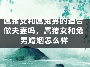属猪女和属兔男的适合做夫妻吗，属猪女和兔男婚姻怎么样