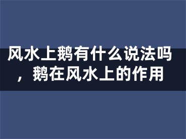 风水上鹅有什么说法吗，鹅在风水上的作用