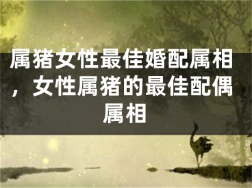 属猪女性最佳婚配属相，女性属猪的最佳配偶属相
