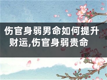 伤官身弱男命如何提升财运,伤官身弱贵命
